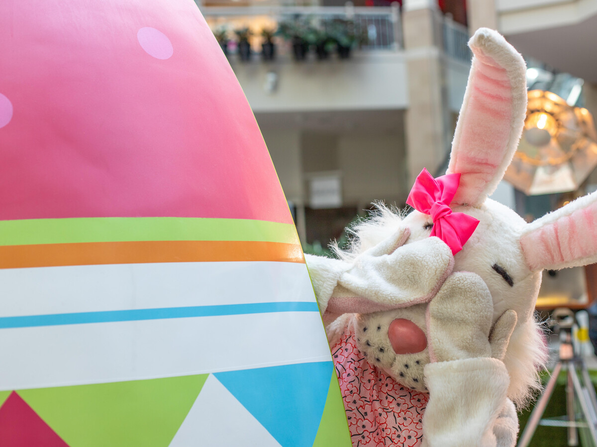 Does The Easter Bunny Have A Sustainable Supply Chain?