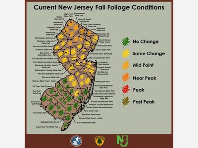 New Jersey Forest Service Update for Friday, October 8th