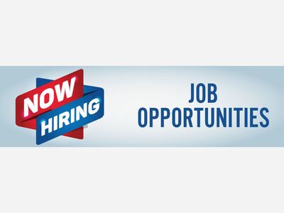 Social Media Coordinator