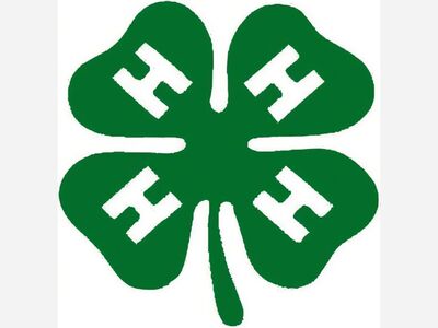 4H Club will resume in person events