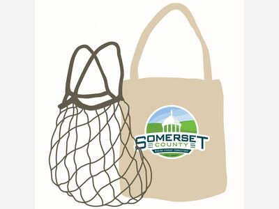 Plastic Bag Ban Law - English Version