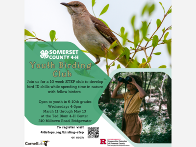 The 4H Offers a new step club - Youth Birding Club for the Spring