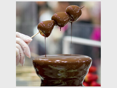 The Chocolate Expo - New Jersey Convention & Exposition Center in Edison, NJ (Day 2)