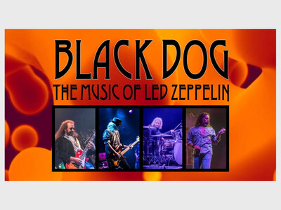 Black Dog at The Green Knoll Grill