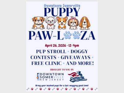 Downtown Somerville - Puppy Pawlooza 
