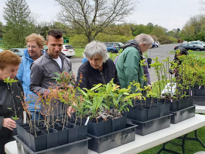 Somerset County Park Commission Giving Away Trees at Arbor Day Event