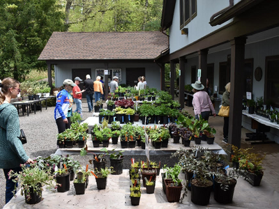 Leonard J. Buck Garden to Host Spring Plant Sale on April 27 and 28