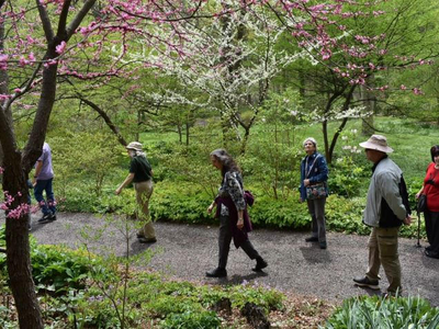 Leonard J. Buck Garden To Host Woodland Walking Tours