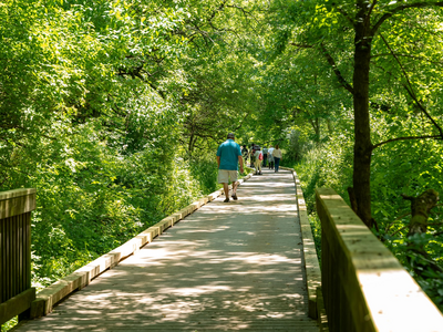 Local Travels: Montgomery Township, NJ Renovated Boardwalks of Mill Pond 