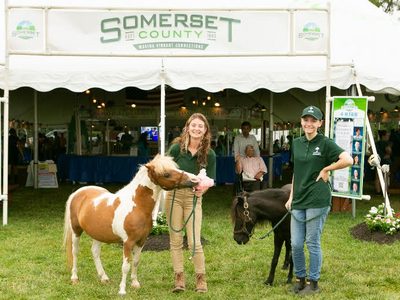 4-H Fair County Government Tent Hosting Games,  Activities, Music, and More in 2024 Accepting Food Donations