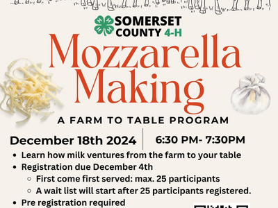 4-H Mozzarella Making Youth Workshop
