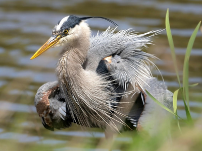 Last Call for Park Commission 2024 Photo Contest Entries