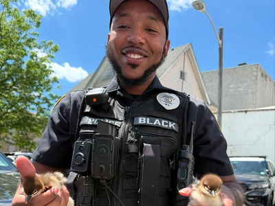 ICYMI - Somerville Police Department Quack the Case This Week