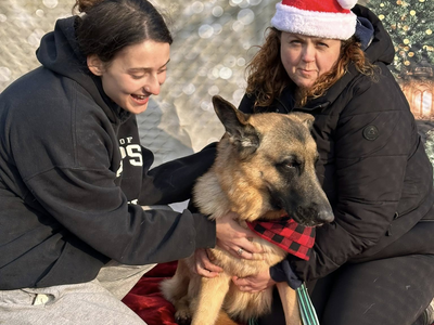 Give a Shelter Pet a Home for the Holidays: Somerset Regional Animal Shelter Launches Adoption Special