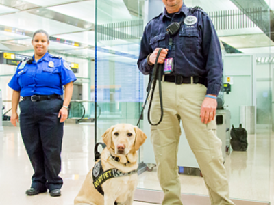 Totally ‘paw-some’ 2026 TSA Canine Calendar now available for download