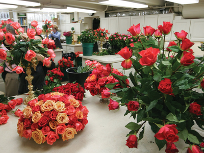Inside the White House: The Hidden Flower Shop Beneath the North Portico