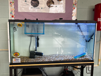 Trout in the Classroom Brings Science to Life for 7th Graders Thanks to PSEG and Sustainable Jersey 