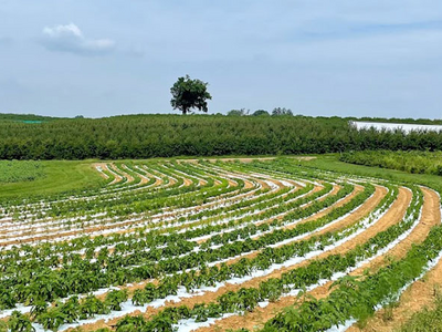 Fall Escapes in the Garden State: Four Farms That Capture the Season’s Magic Near Somerset County