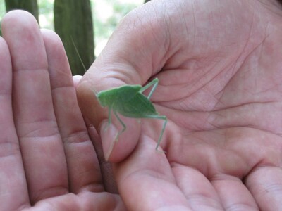 Environmental Education Center Offers Nature Programs in July for All Ages