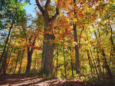 Somerset County Expands Raritan River Greenway with New Open Space Acquisition